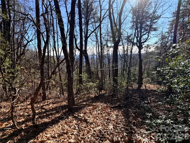 a view of outdoor space