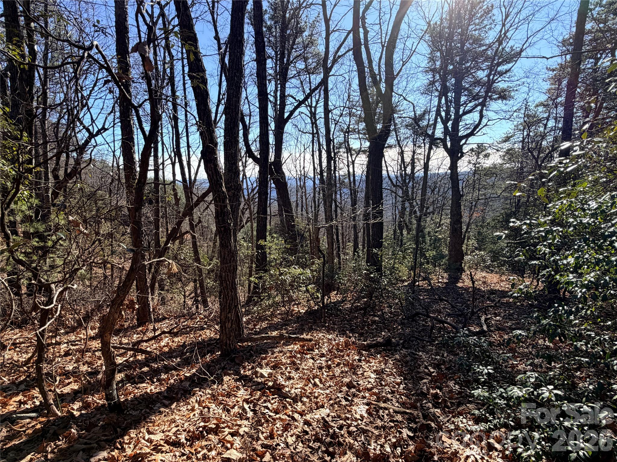 Tbd Bobcat Mountain Road, Unit 27 Purlear, NC 28665 - Photo 9 of 42 a view of outdoor space and trees