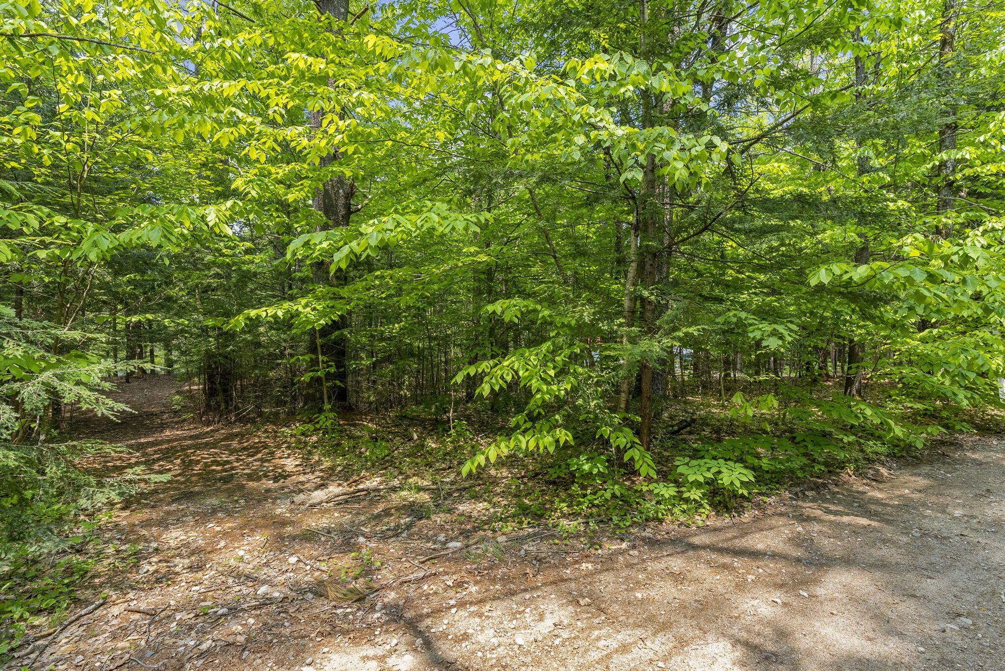 4-web-or-mls-DSC09038