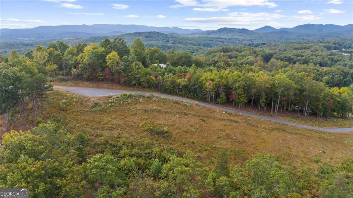 0 Horizon Ridge Blue Ridge, GA 30513 - Photo 1 of 1 a view of lake with mountain