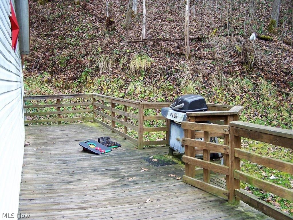 1557 Lower Nicut Road Orma, WV 25268 - Photo 15 of 21