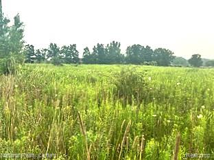 0 Vogt Road Fowlerville, MI 48836 - Photo 5 of 8
