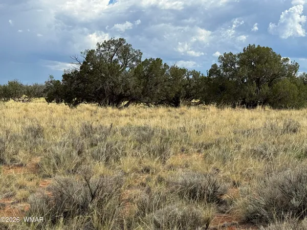 $25,000 | 2445 Athapascan Drive, Heber, AZ 85928
