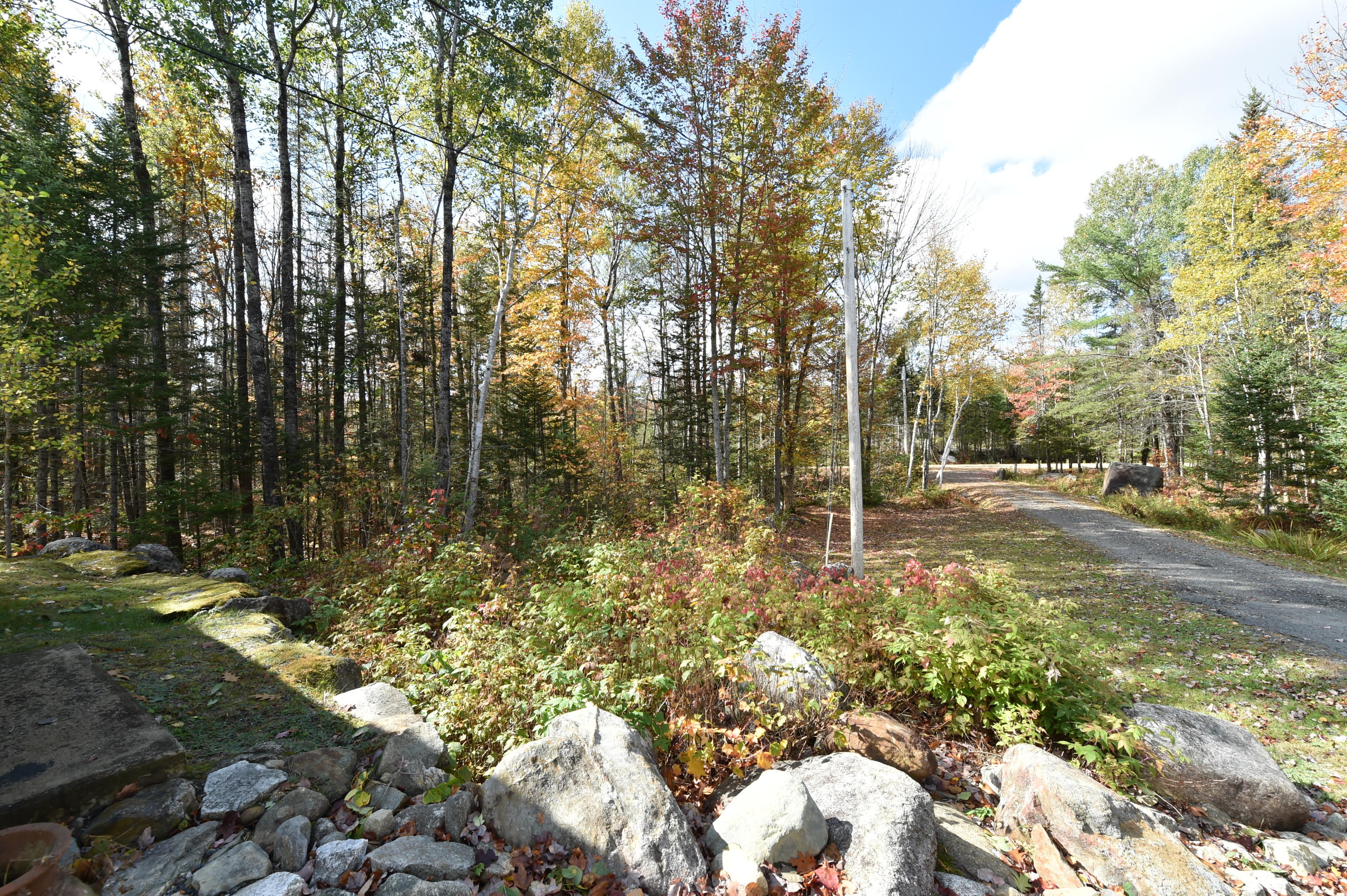 31 Alder Brook Road Wilton, ME 04294 - Photo 35 of 49 DSC_9505