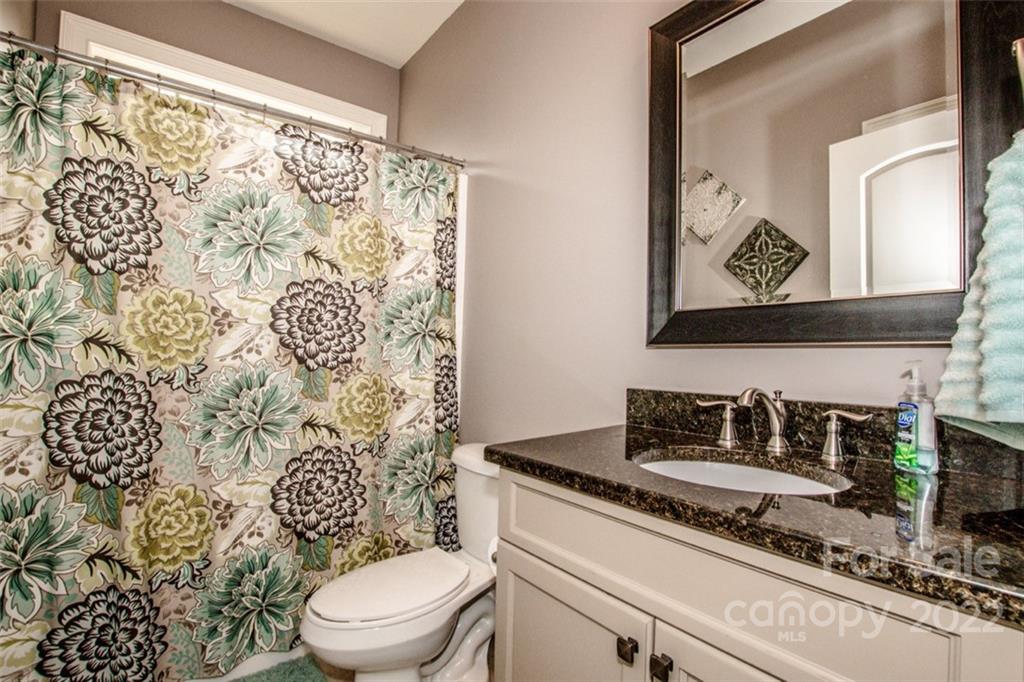 236 Wilson Lake Road Mooresville, NC 28117 - Photo 22 of 40 Gallery Image 22
