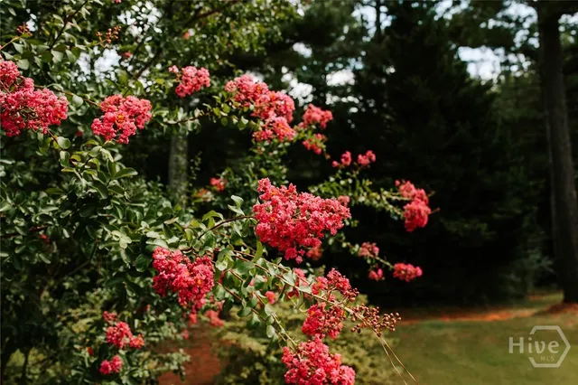 $394,900 | 221 Creekside Drive, Arnoldsville, GA 30619