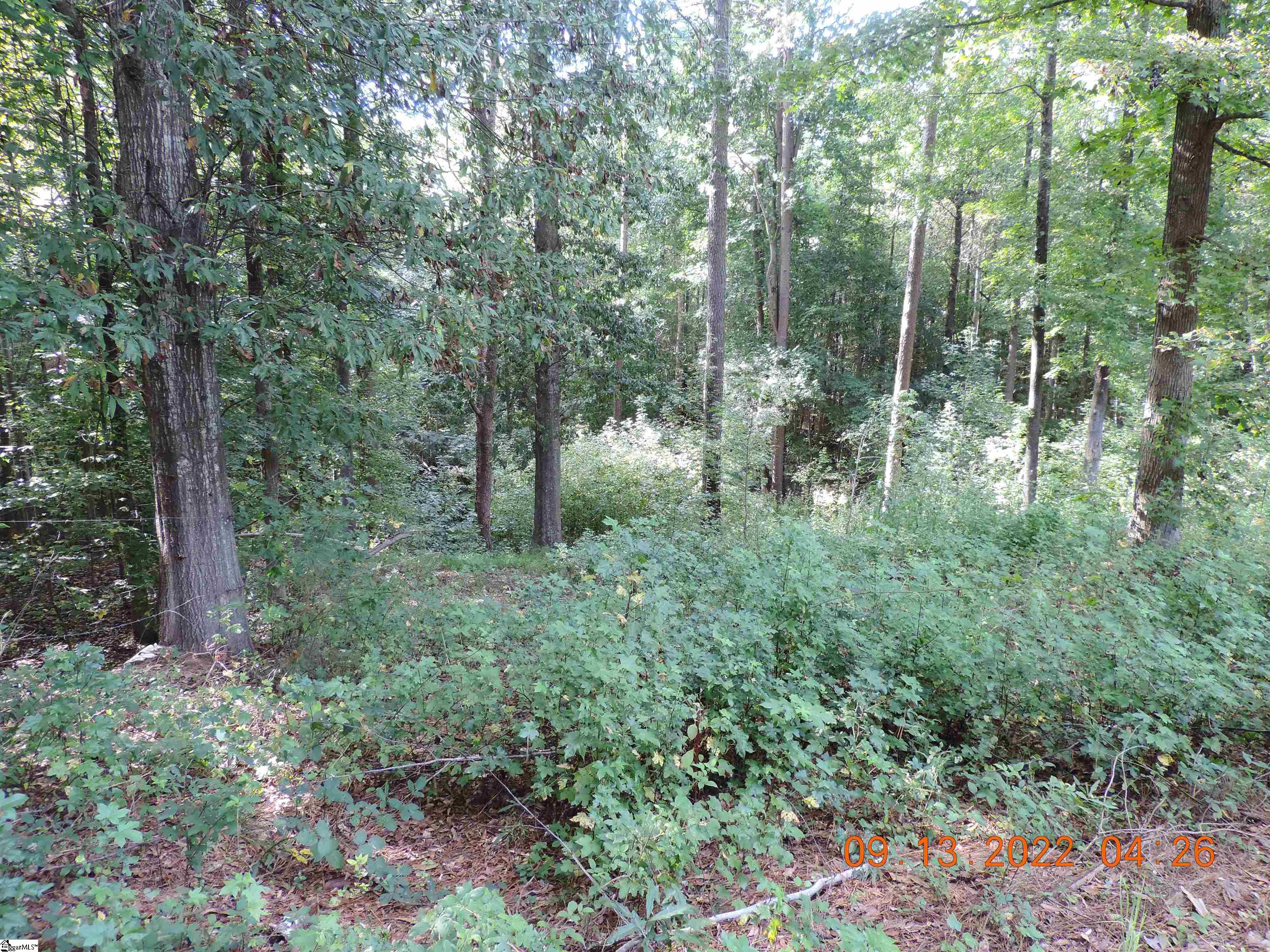 252 Shetley Road Union, SC 29379 - Photo 32 of 36