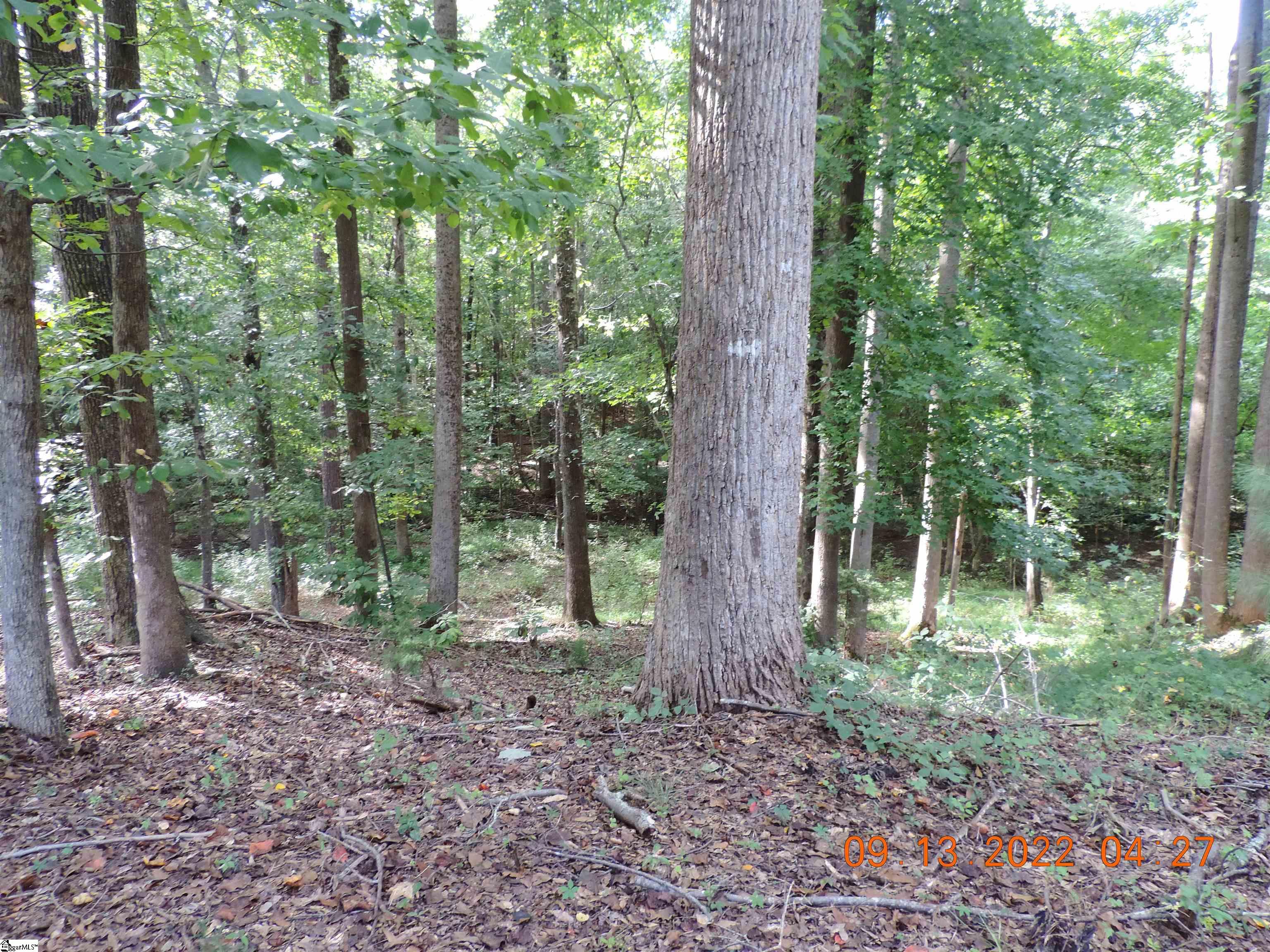 252 Shetley Road Union, SC 29379 - Photo 33 of 36