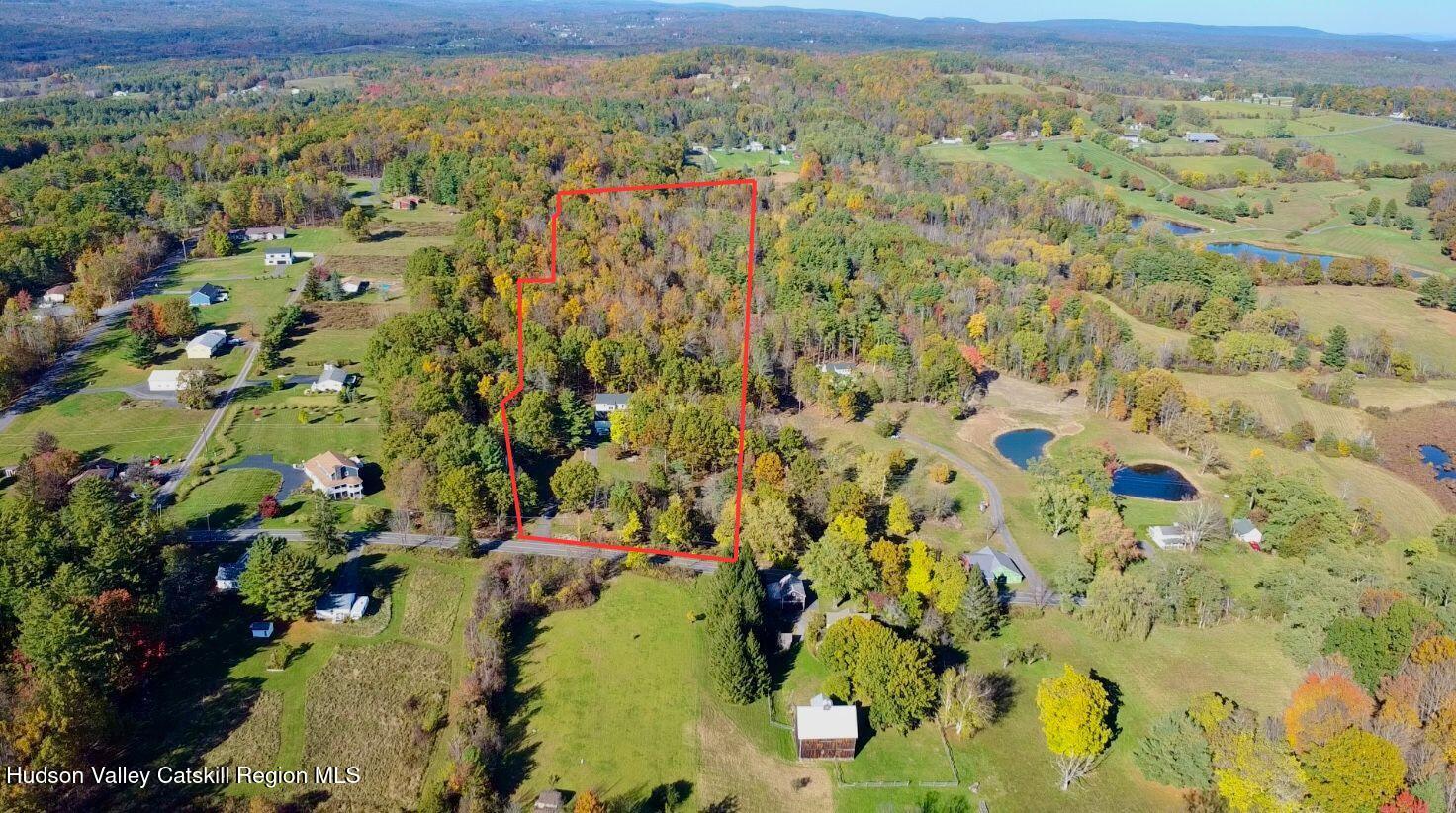 720 Sunny Hill Road Greenville, NY 12083 - Photo 41 of 42 a view of a forest with a lake