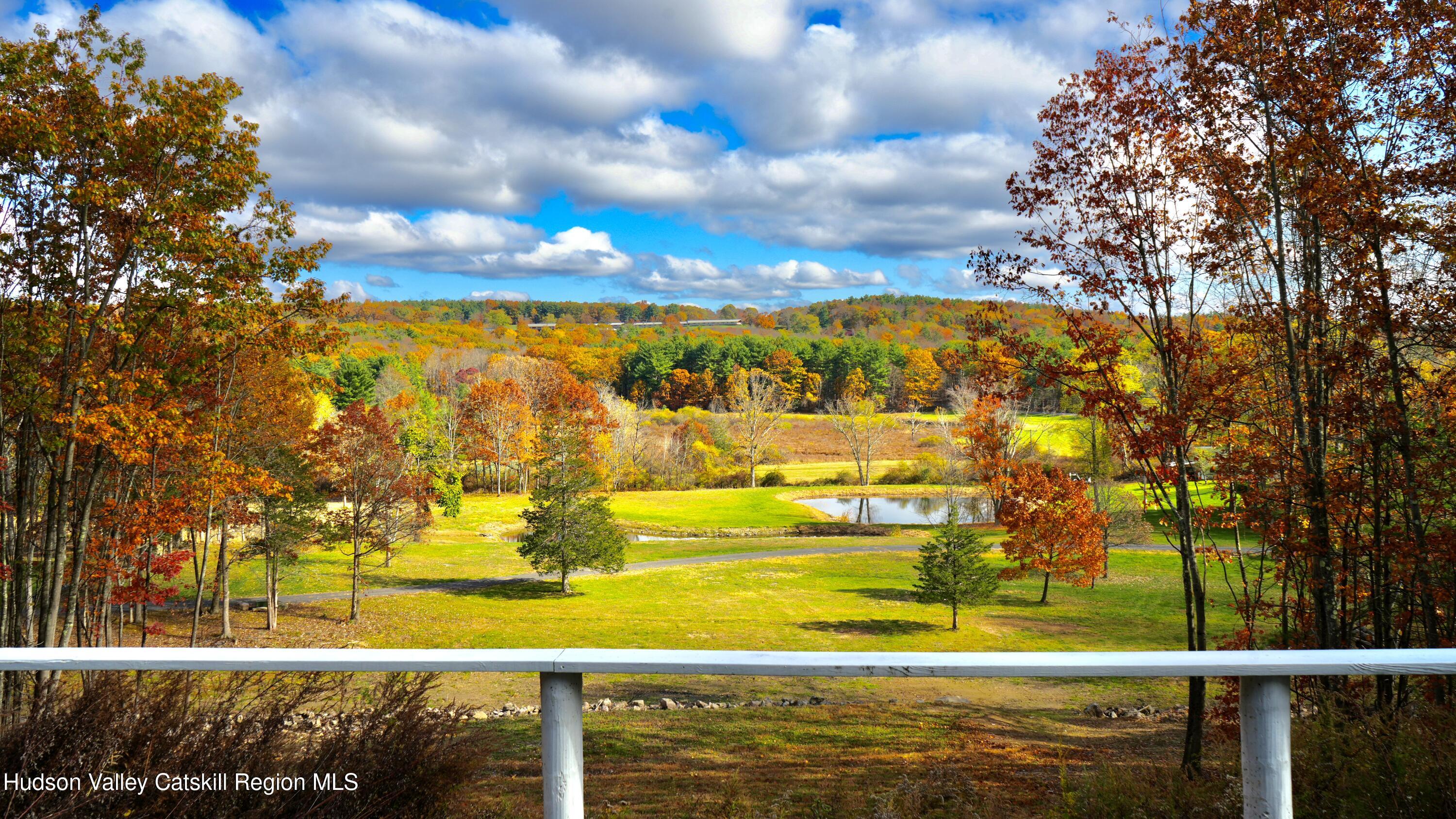 720 Sunny Hill Road Greenville, NY 12083 - Photo 8 of 44 5