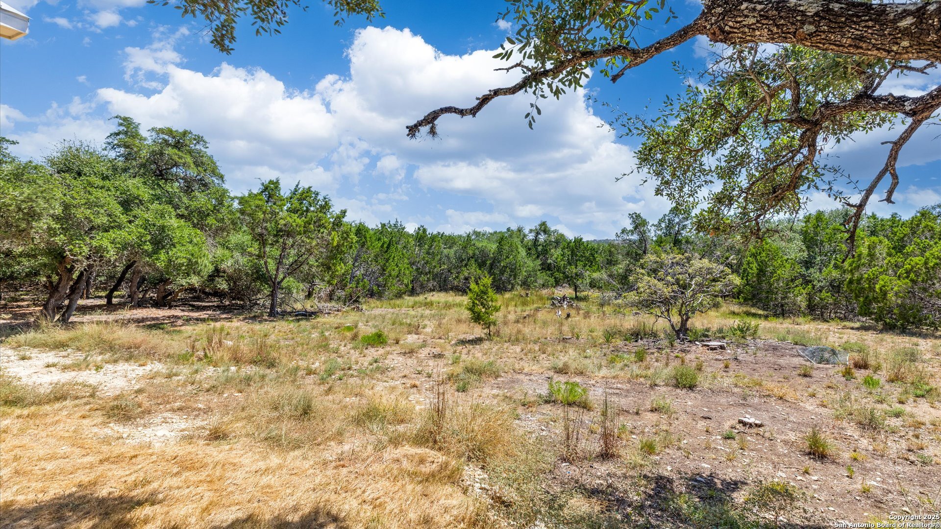 3225 Hawthorne Road Spring Branch, TX 78070 - Photo 29 of 39