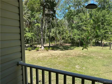 a view of swimming pool from a window