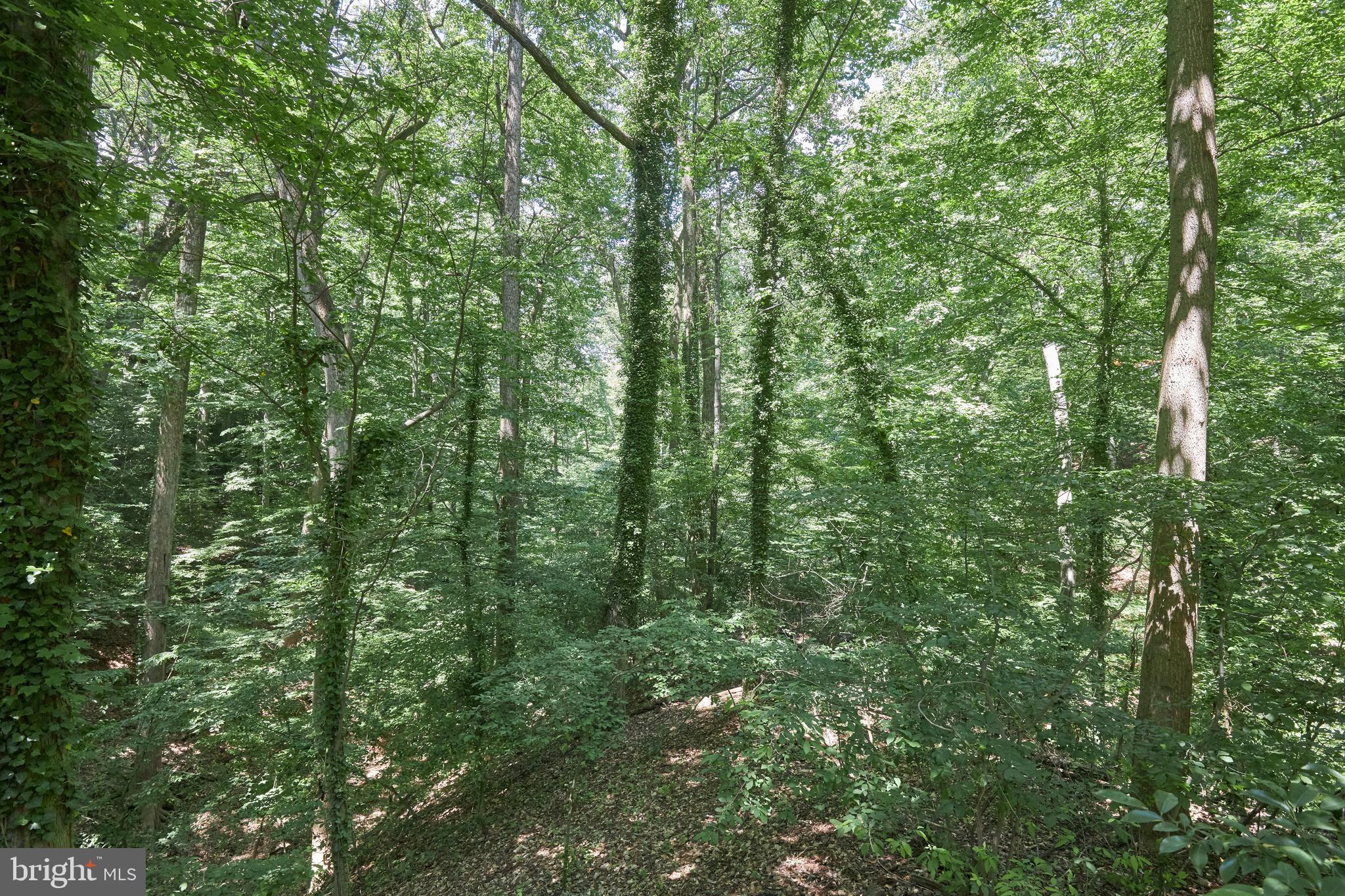 1860 Poplar Road Annapolis, MD 21401 - Photo 10 of 63 Gallery Image 10