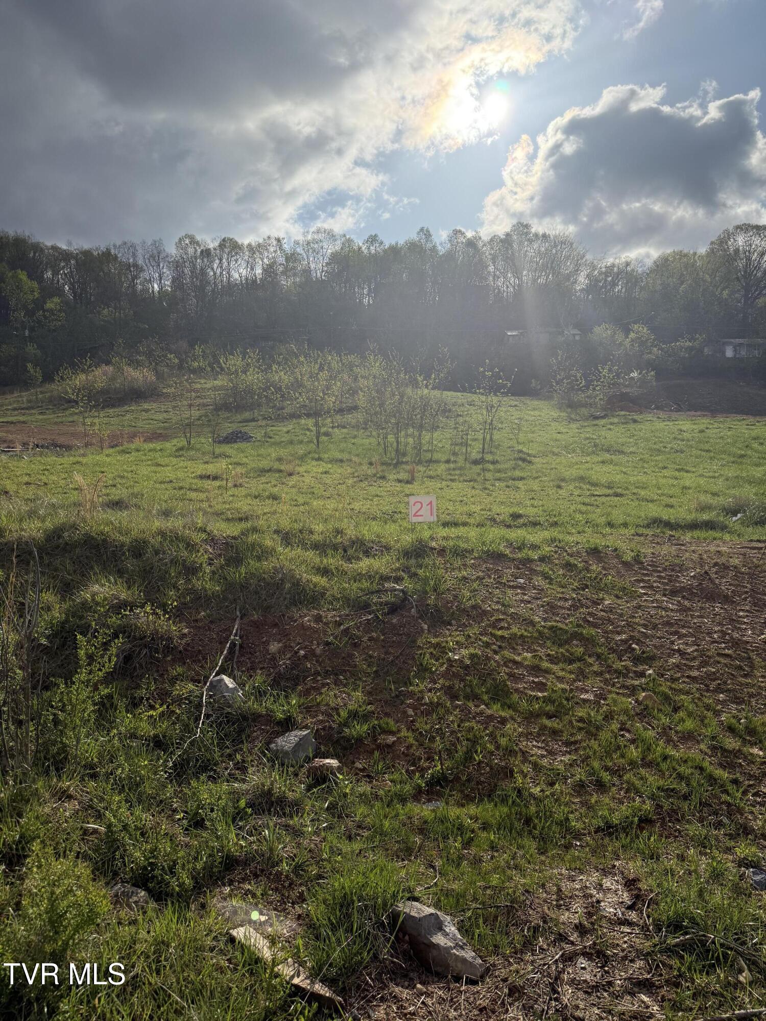 829 Granby Road, Unit 21 Kingsport, TN 37660 - Photo 4 of 7 IMG_0103