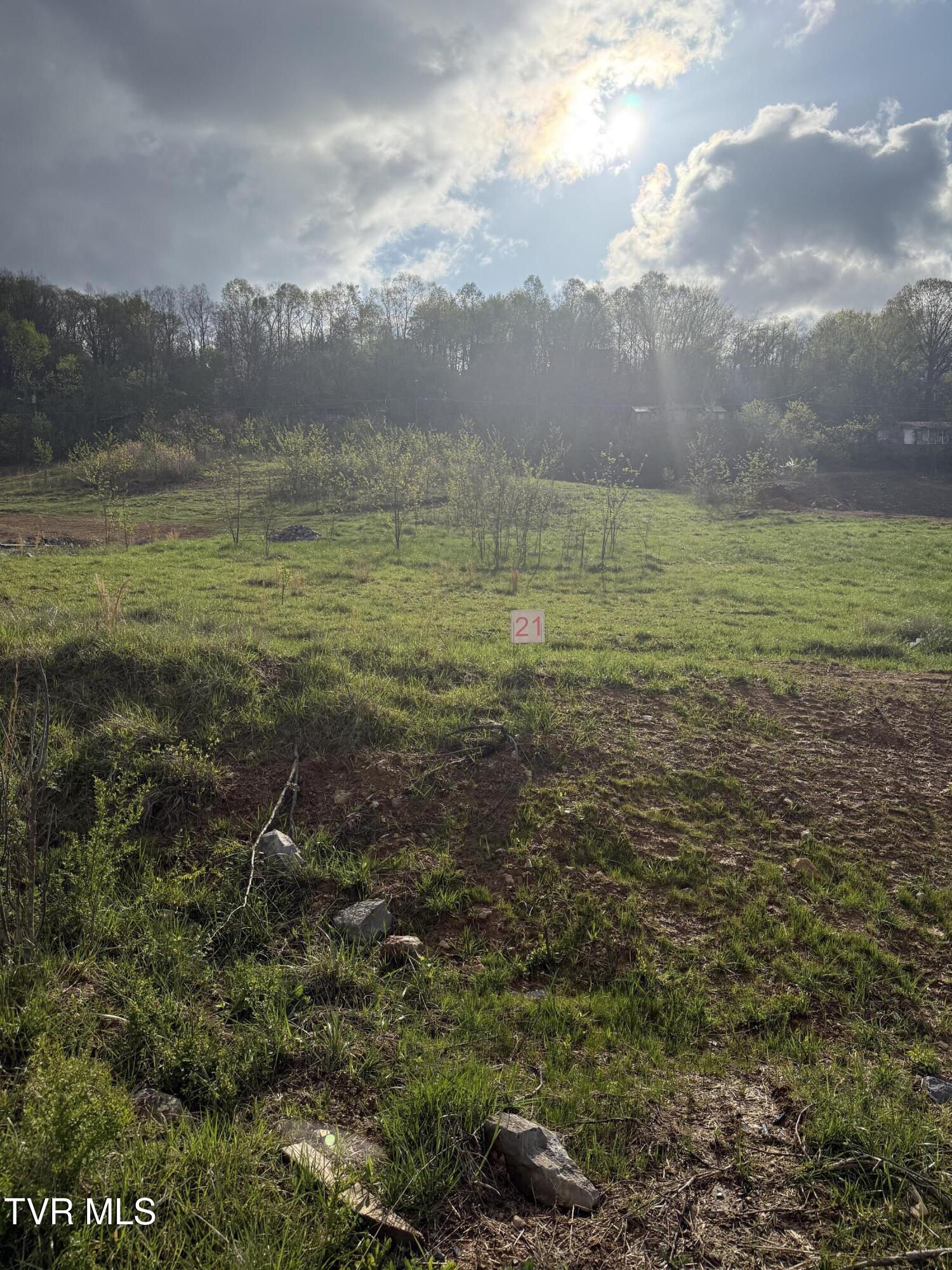 829 Granby Road, Unit 21 Kingsport, TN 37660 - Photo 5 of 7 IMG_0104