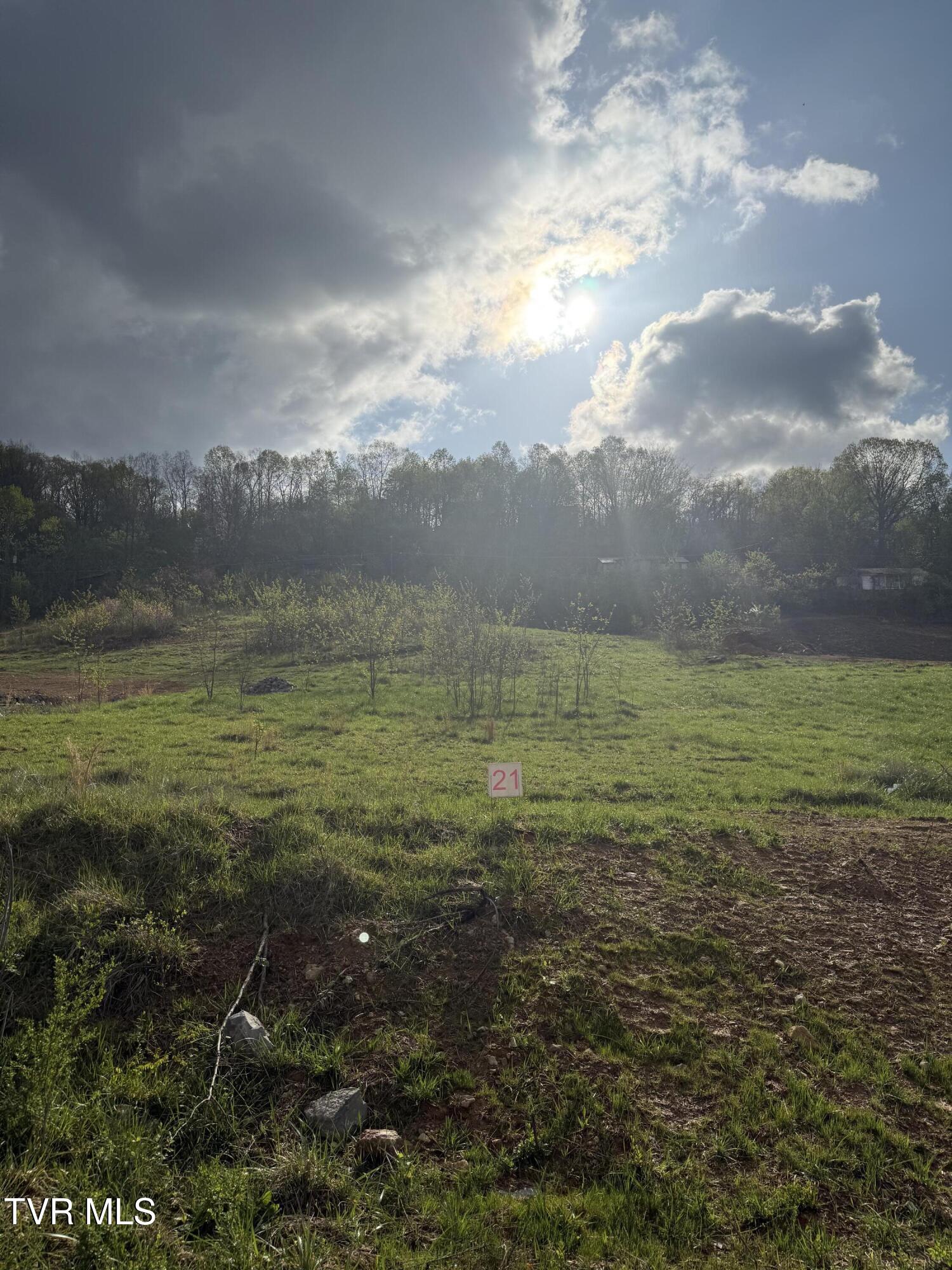 829 Granby Road, Unit 21 Kingsport, TN 37660 - Photo 6 of 7 IMG_0105