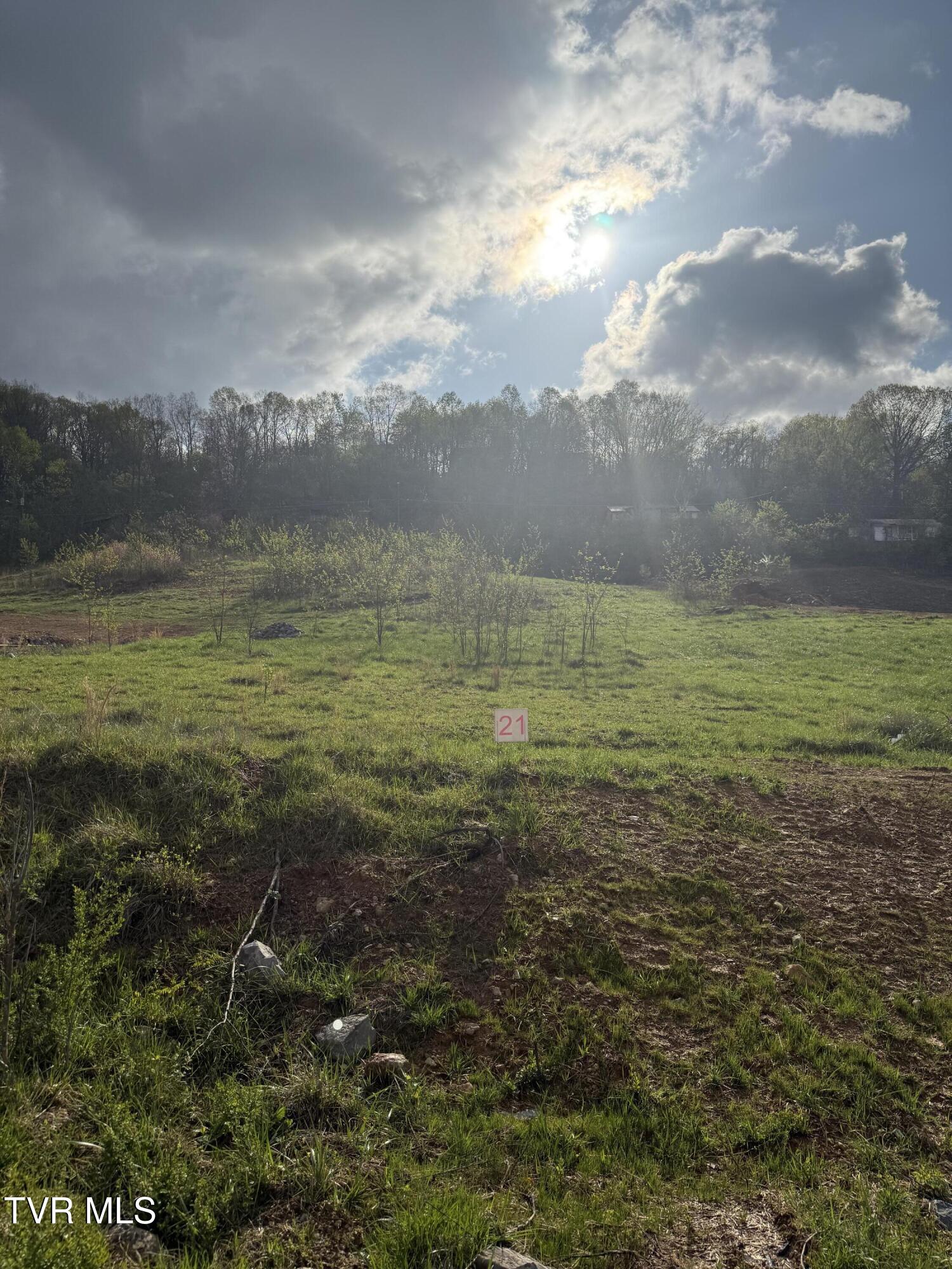 829 Granby Road, Unit 21 Kingsport, TN 37660 - Photo 7 of 7 IMG_0106