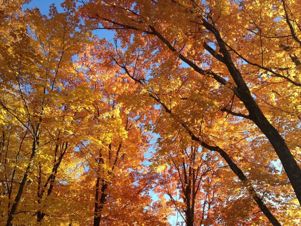 446 Stewart Lk Road Two Harbors, MN 55616 - Photo 2 of 4