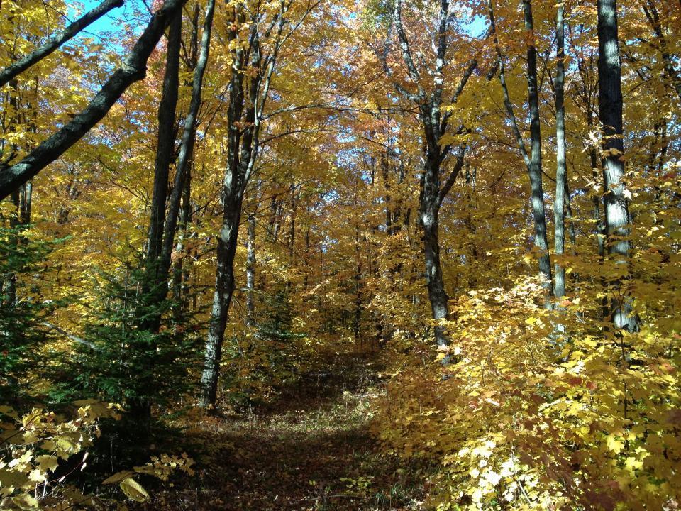 446 Stewart Lk Road Two Harbors, MN 55616 - Photo 3 of 4