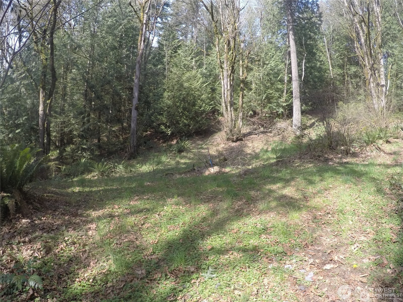 18002 Southeast May Valley Road Issaquah, WA 98027 - Photo 2 of 15