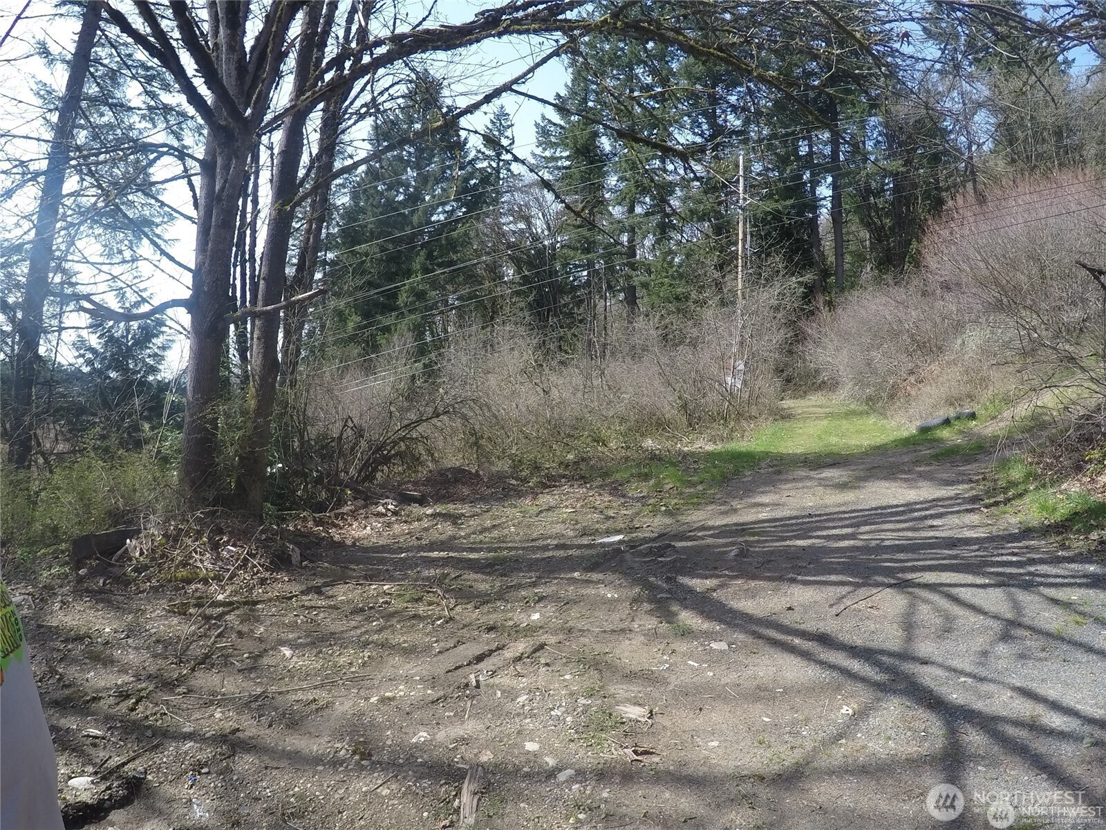 18002 Southeast May Valley Road Issaquah, WA 98027 - Photo 3 of 15