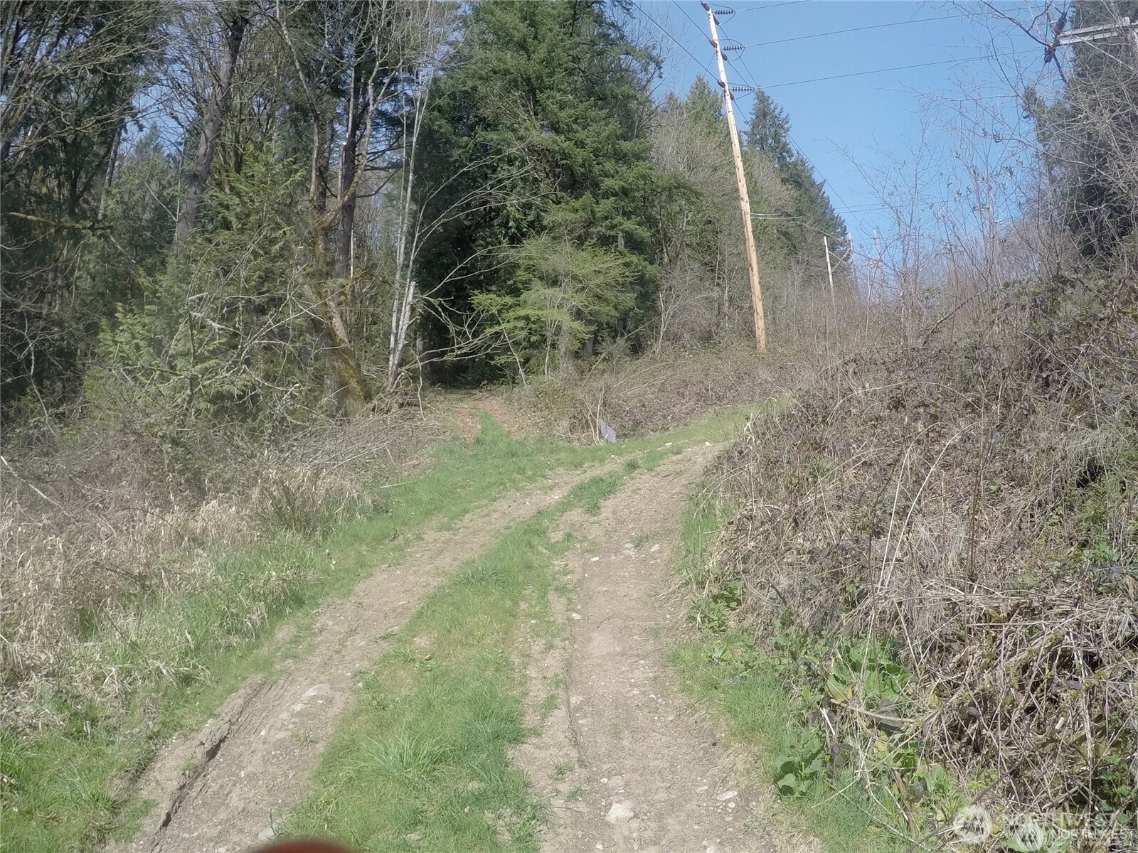 18002 Southeast May Valley Road Issaquah, WA 98027 - Photo 5 of 15