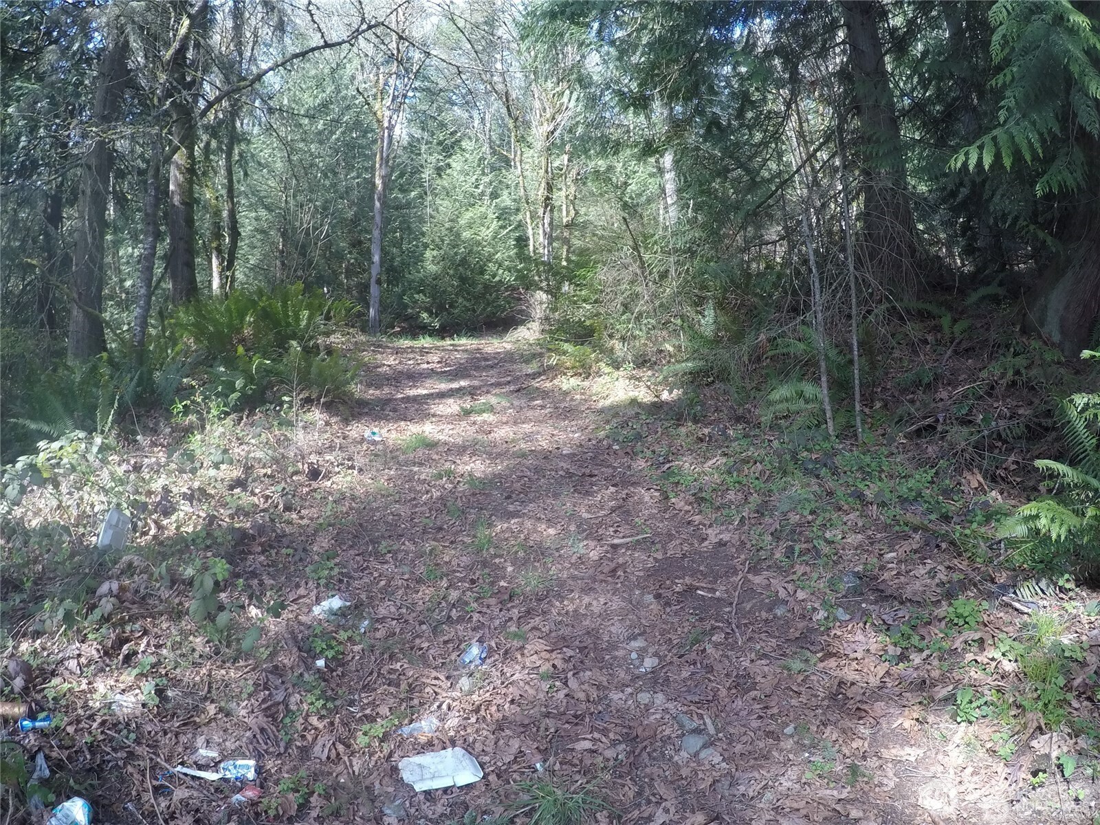 18002 Southeast May Valley Road Issaquah, WA 98027 - Photo 6 of 15