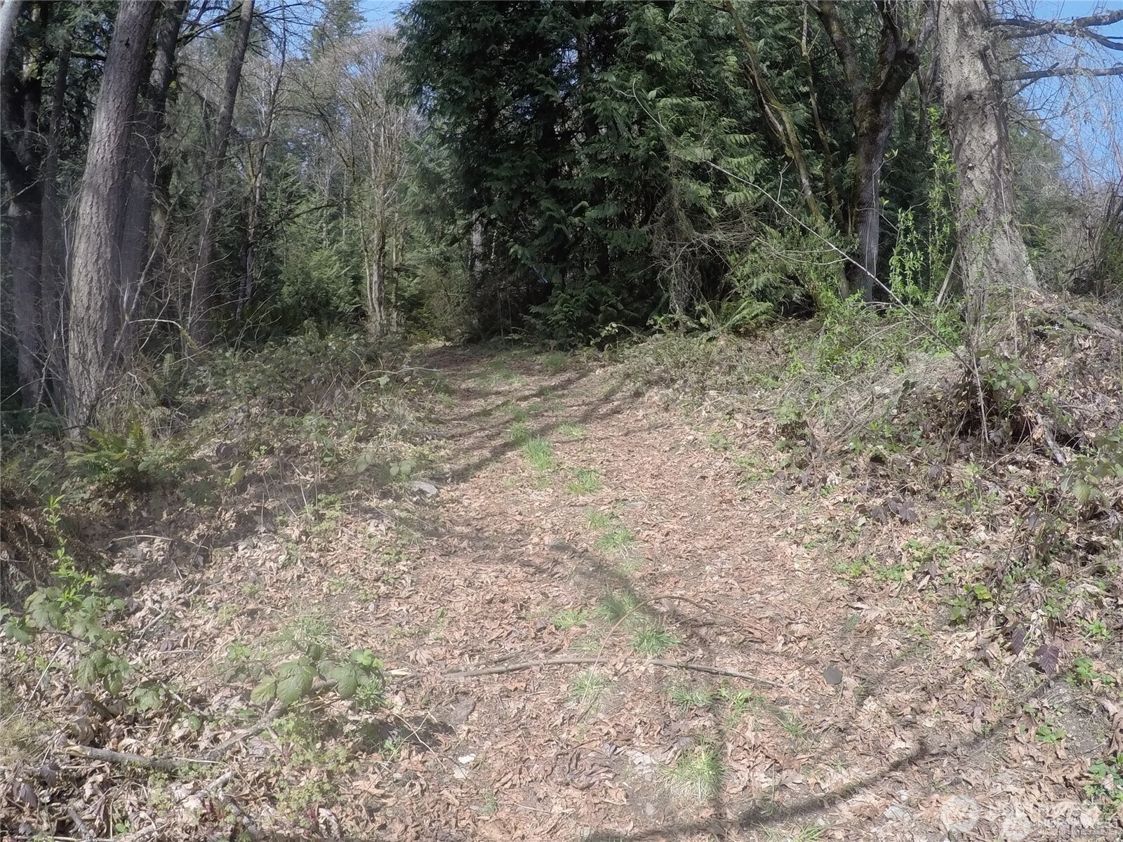 18002 Southeast May Valley Road Issaquah, WA 98027 - Photo 7 of 15