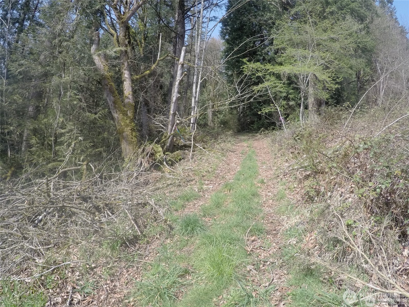 18002 Southeast May Valley Road Issaquah, WA 98027 - Photo 8 of 15