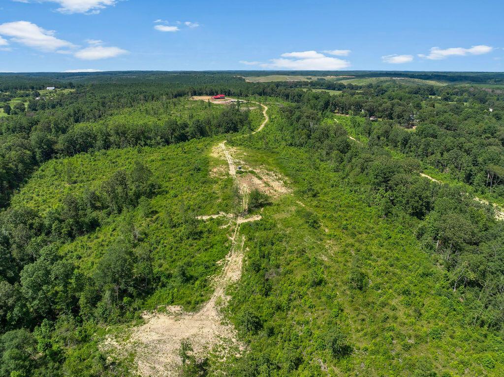 1063 Lays Road Jasper, AL 35503 - Photo 28 of 35 DJI_20250717131622_0053_D-43-9