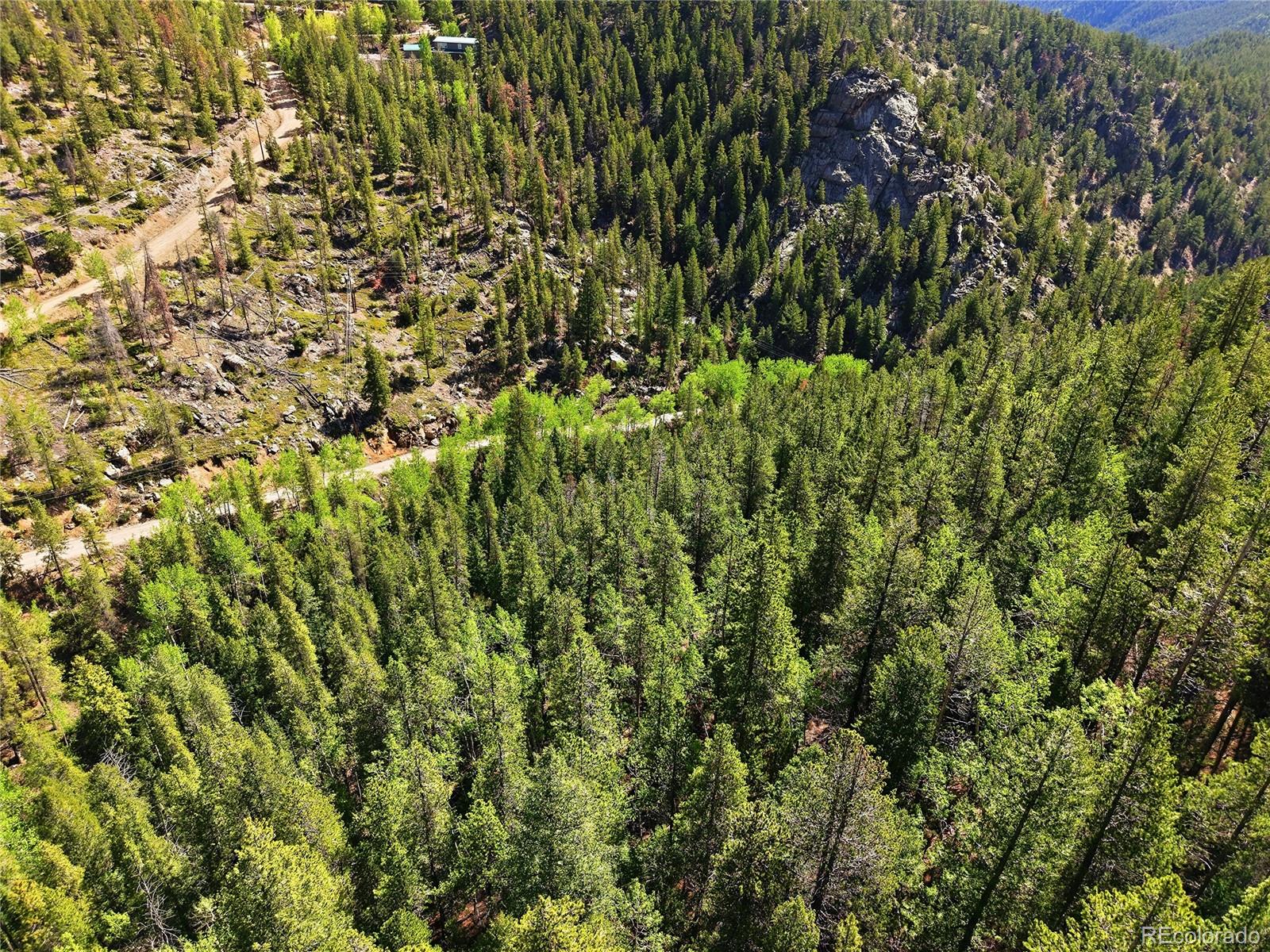 600 Ute Creek Road Idaho Springs, CO 80452 - Photo 8 of 24 a view of a lush green field