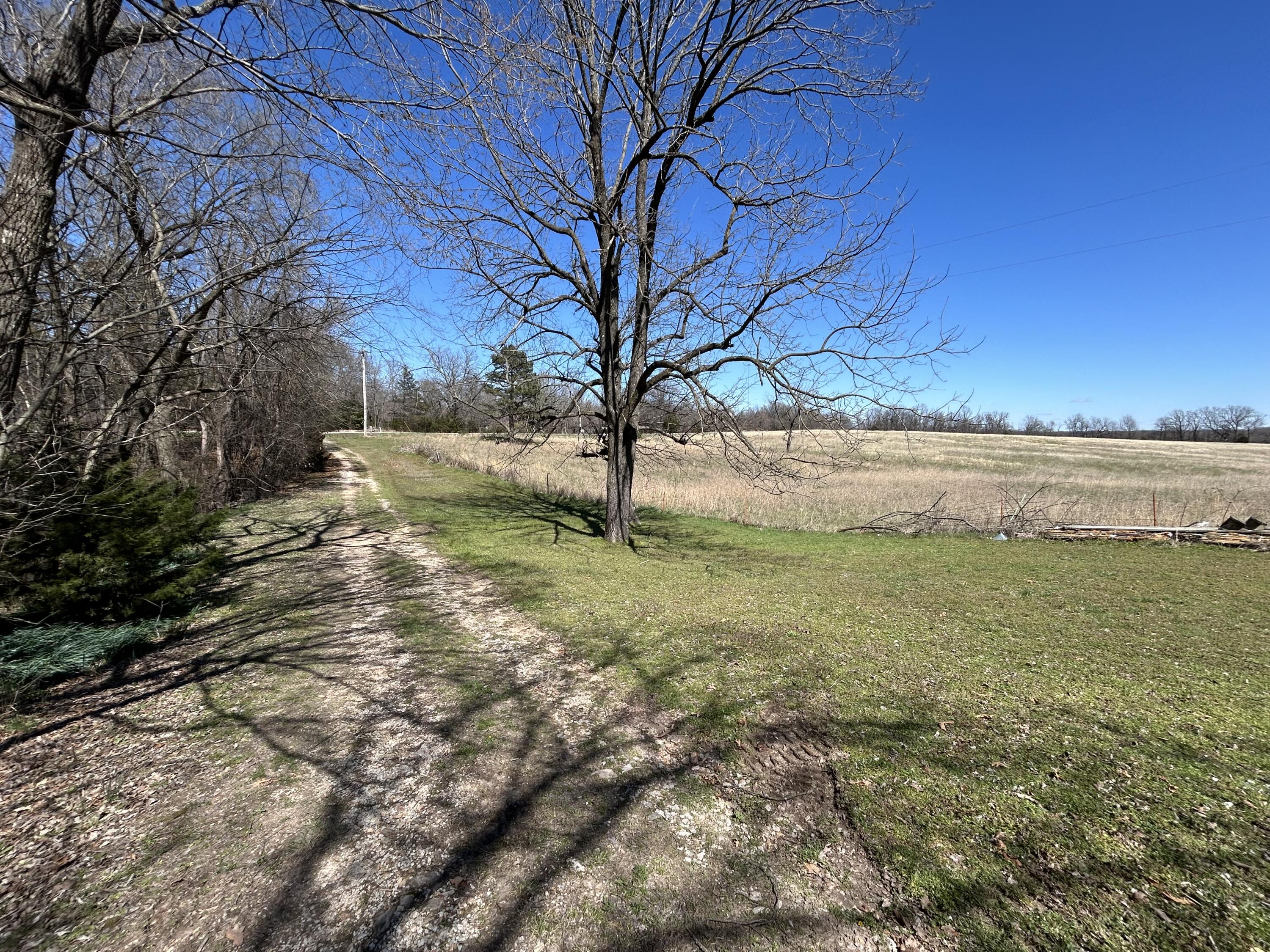 0 Speedway Road Stella, MO 64867 - Photo 21 of 28 IMG_7822