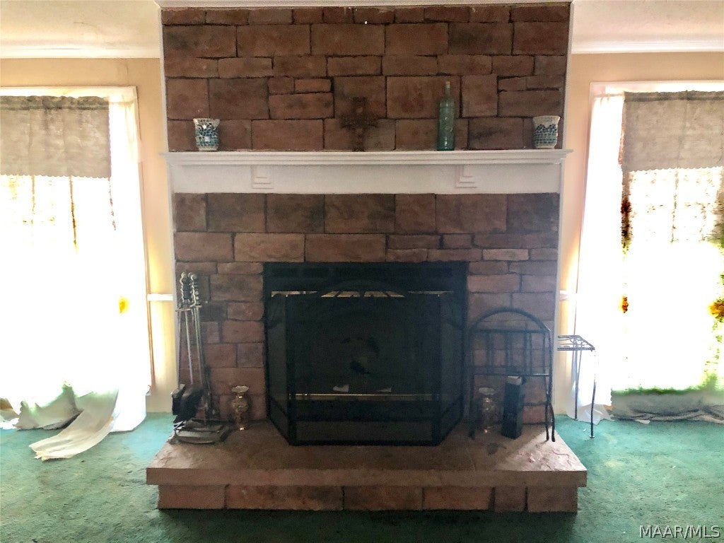 3874 Mitchell Road Hartford, AL 36344 - Photo 10 of 35 Gallery Image 10