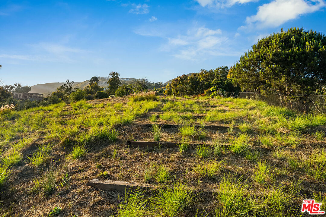 29829 Harvester Road Malibu, CA 90265 - Photo 18 of 44 a view of a yard