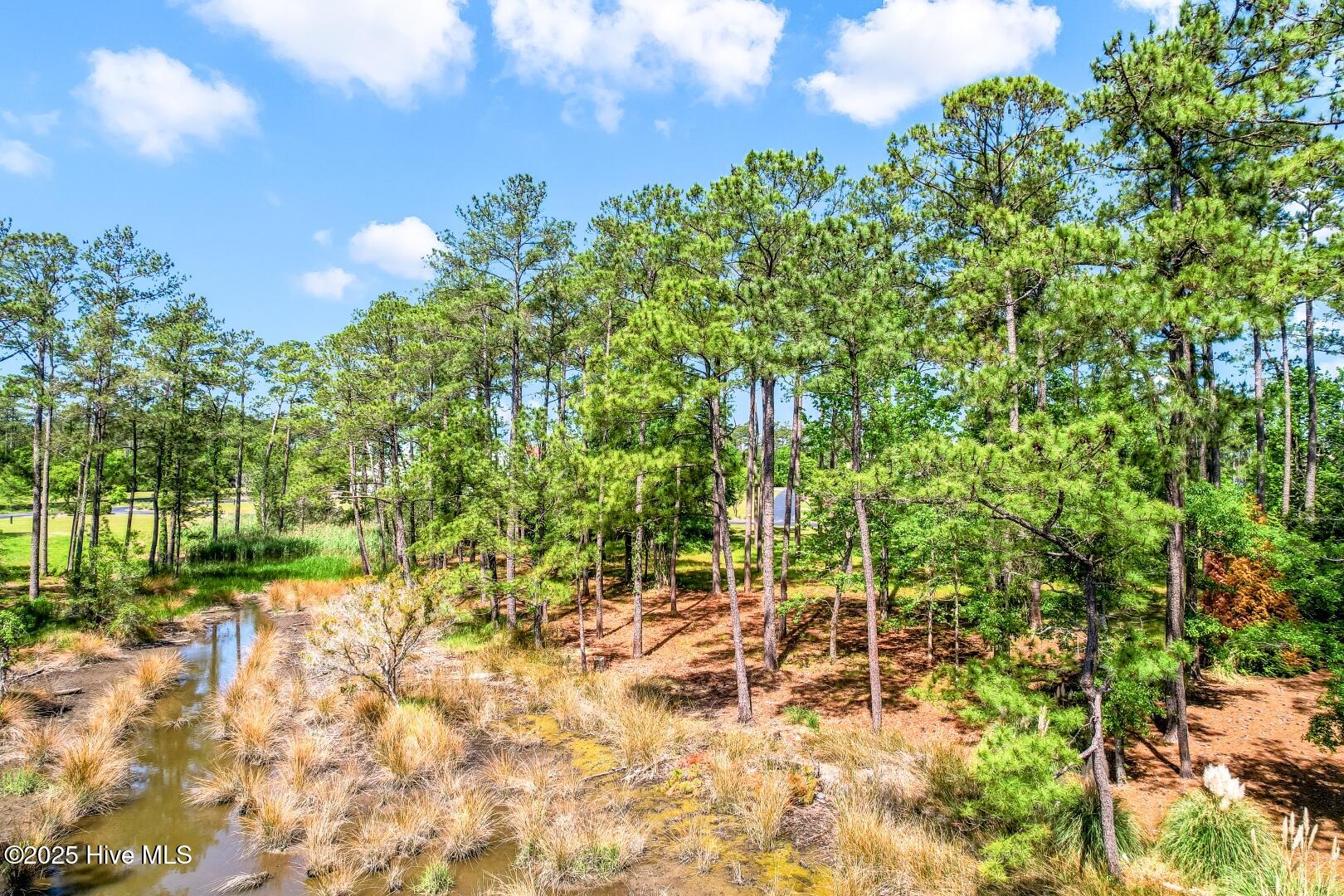 72 Oyster Point Road Oriental, NC 28571 - Photo 8 of 55 72 Oyster Point Road 38 (16)