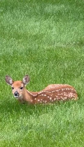 $299,900 | 2543 Telluride Trail, Unit P, Green Bay, WI 54313