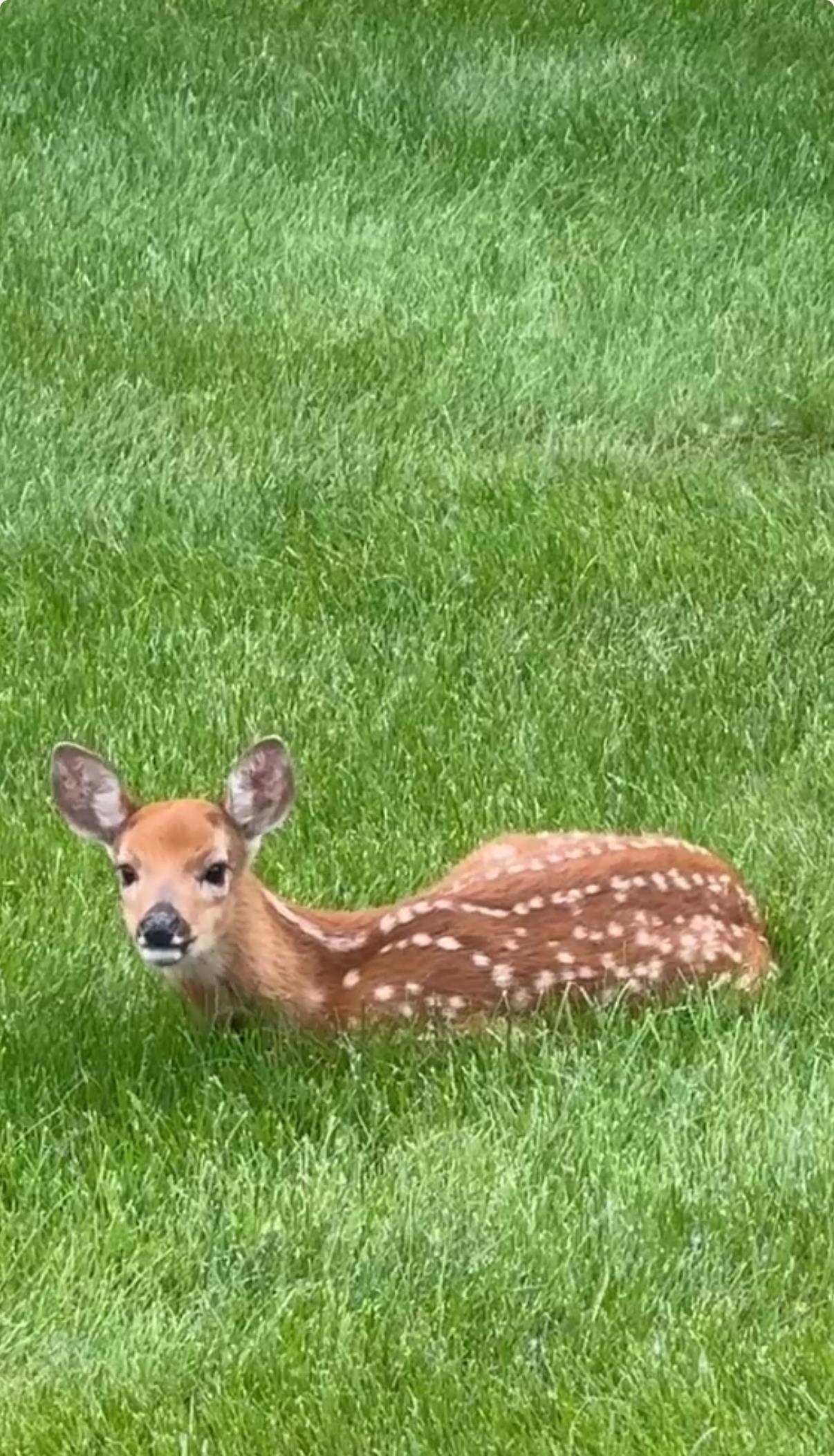 2543 Telluride Trail, Unit P Green Bay, WI 54313 - Photo 30 of 35