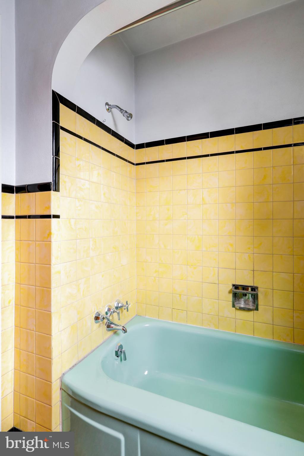 216 North Pitt Street Manheim, PA 17545 - Photo 22 of 30 a bathroom with a shower and a sink