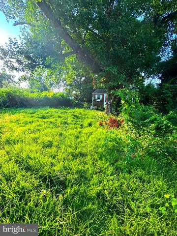 a bird view of a garden