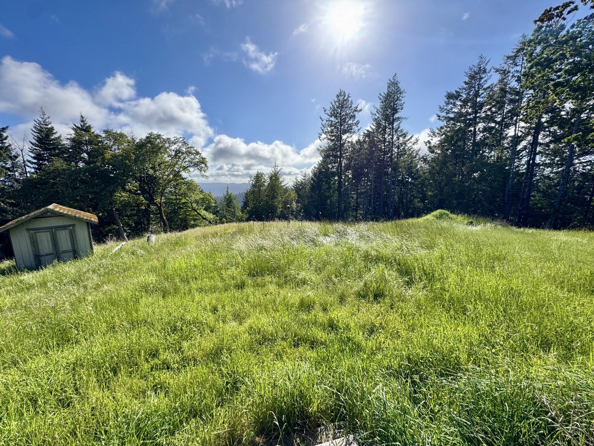 1460 Tim Mullen Road Kneeland, CA 95549 - Photo 48 of 93