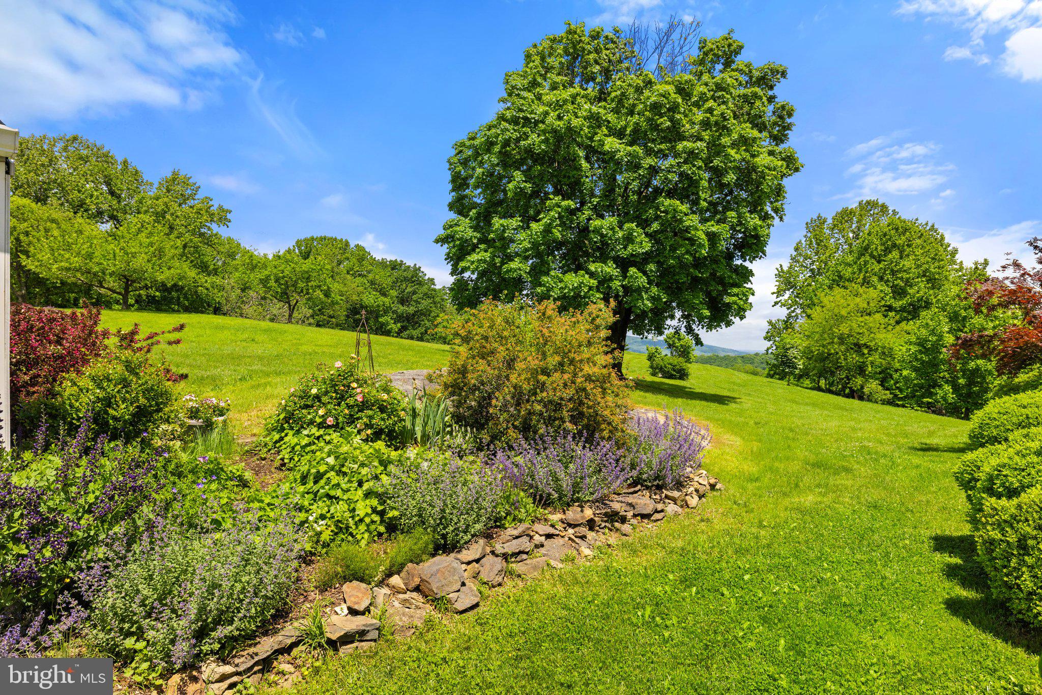 2294 Leeds Manor Road Markham, VA 22643 - Photo 80 of 97 Gallery Image 80