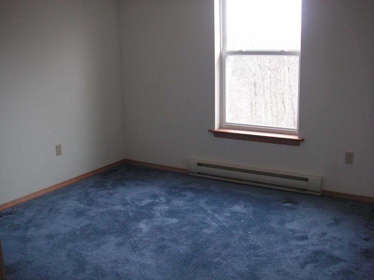1423 B Alpine Road Henryville, PA 18332 - Photo 10 of 11 an empty room with a window