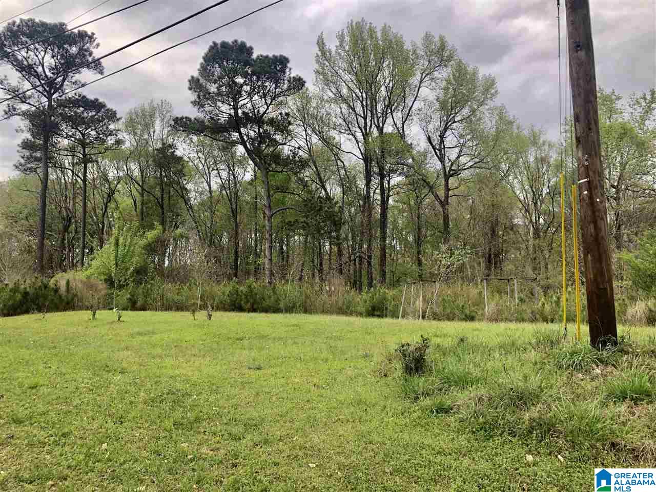 0 Sharpes Lake Road, Unit 2 Northport, AL 35473 - Photo 4 of 8