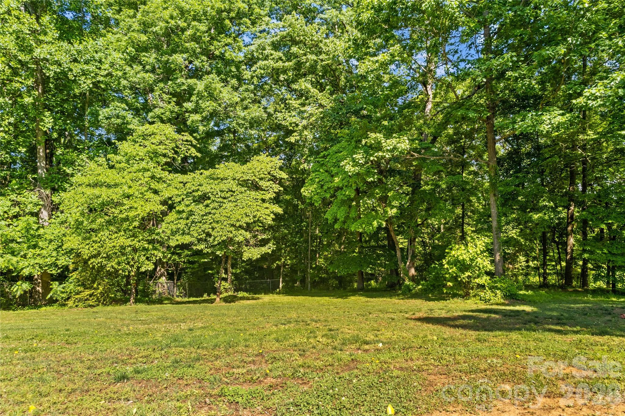 711 Spring Pointe Drive Stony Point, NC 28678 - Photo 34 of 47 a view of a yard with a trees