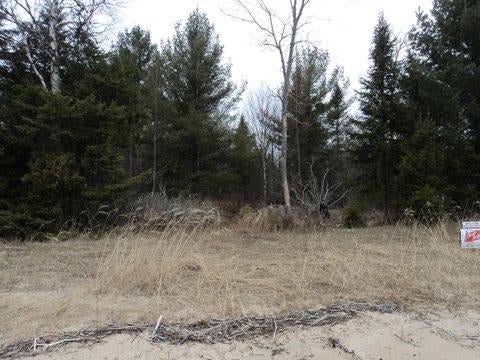 North Ridge Road Black River, MI 48721 - Photo 15 of 17 Gallery Image 15