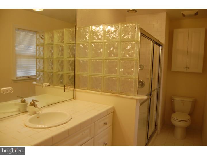 3315 Bartram Road Willow Grove, PA 19090 - Photo 10 of 18 Master Bathroom