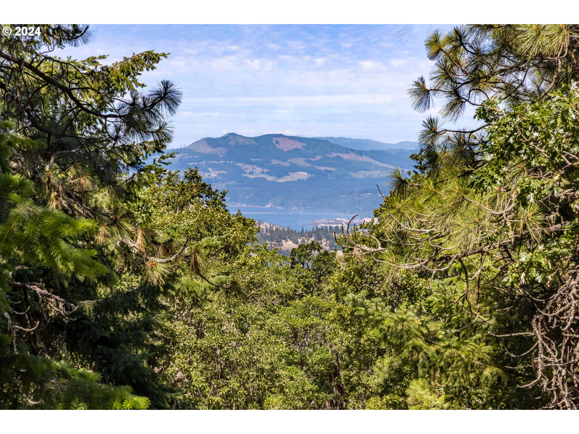 2058 State Road Mosier, OR 97040 - Photo 6 of 40