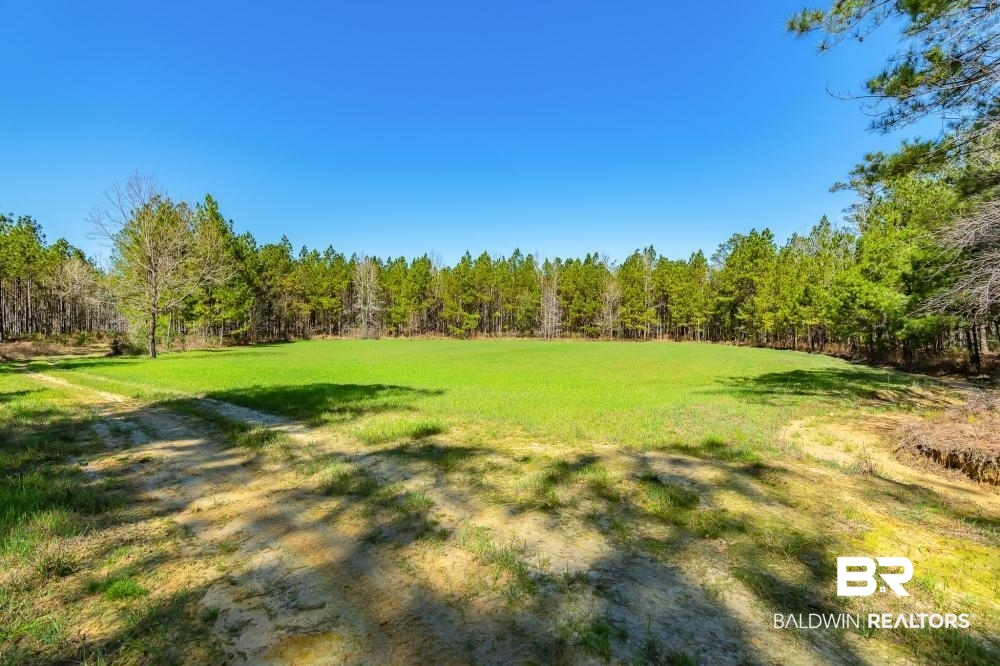 0 Private Road Millry, AL 36558 - Photo 45 of 50