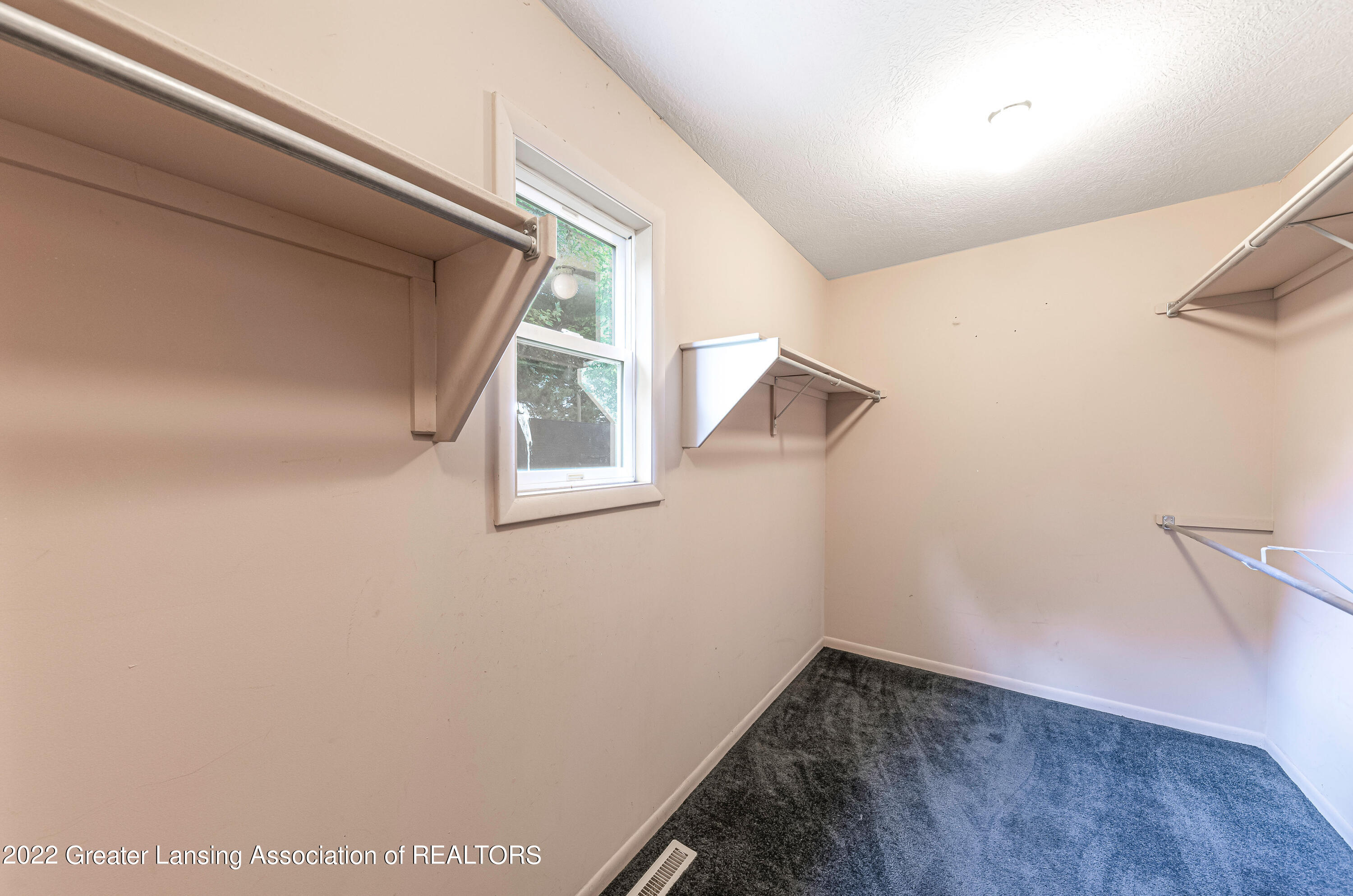 14950 Myers Road Dewitt, MI 48820 - Photo 15 of 24 walkin