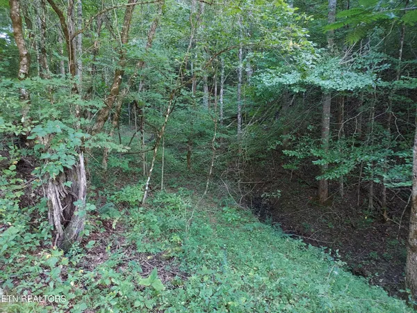 $459,900 | 332 Sleepy Hollow, Sneedville, TN 37869